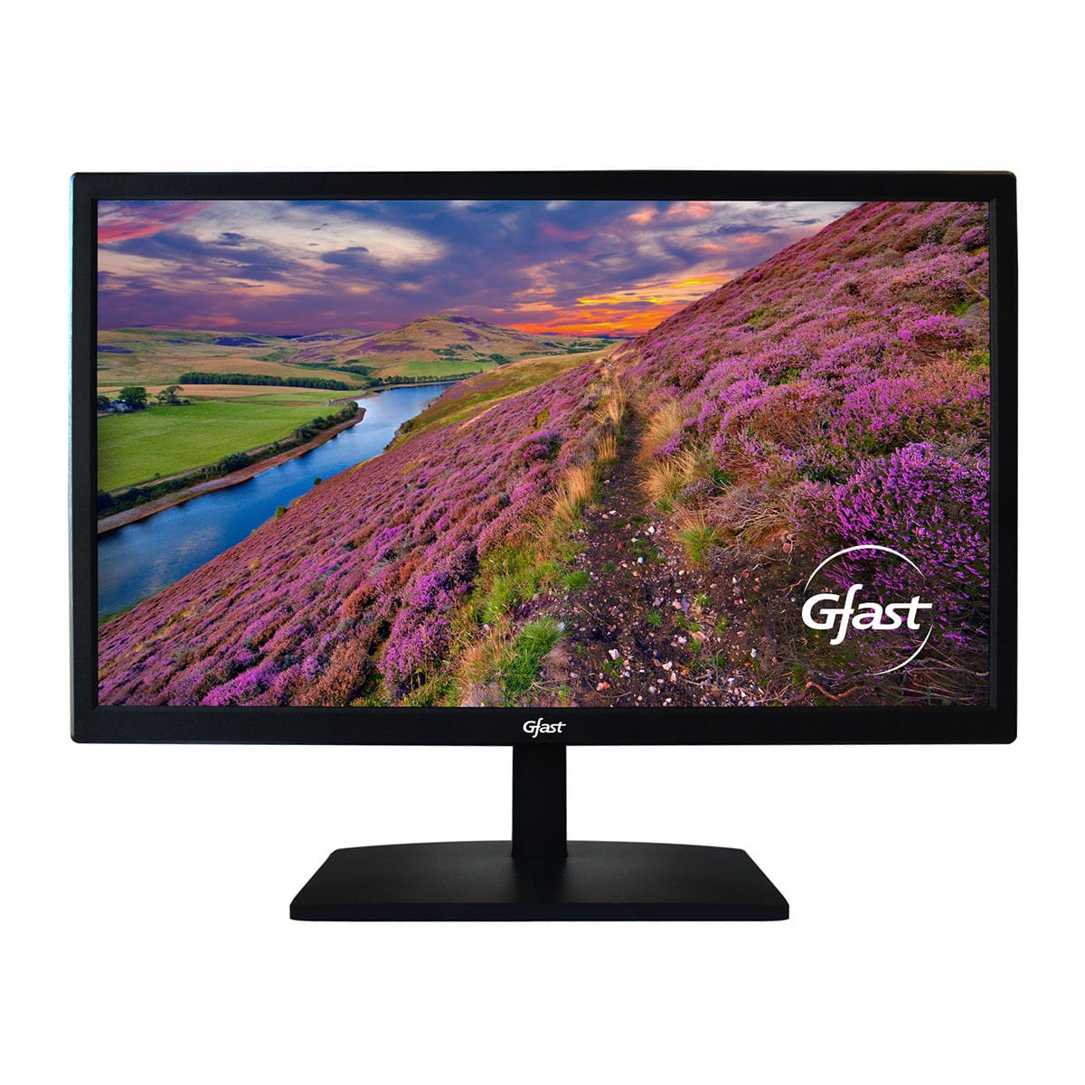 Monitor T-240Â 23.6" HDMI-VGA